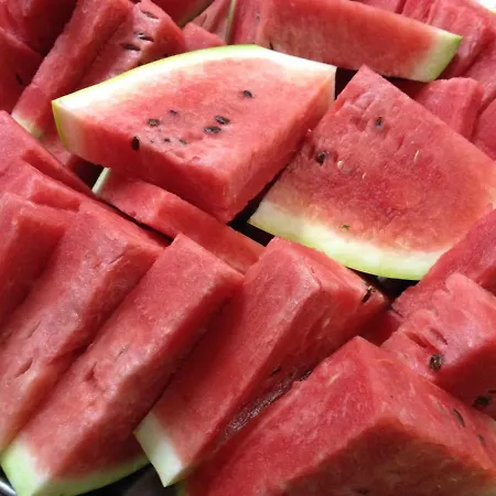 فندق La Caravella بيلاريا-إيجيا مارينا